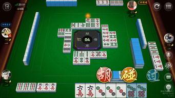 贵州麻将直播爆料视频大全,视频大全背后的精彩瞬间 第3张 贵州麻将直播爆料视频大全,视频大全背后的精彩瞬间 第3张